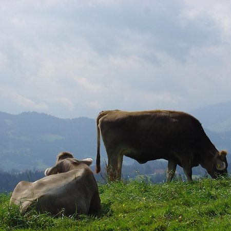 Landhotel Herzberger Garni Zimmer & Ferienwohnungen Scheidegg Kültér fotó